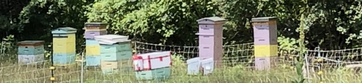 Purple Hive Bees